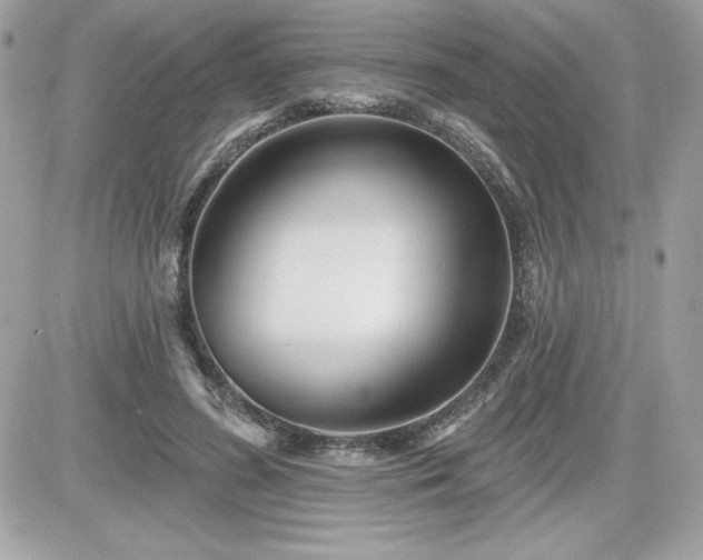 X0000081580596200701221030