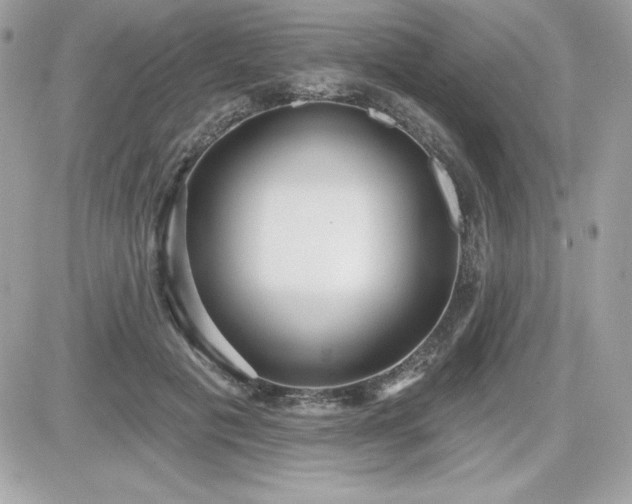 X0000081580601200701221030