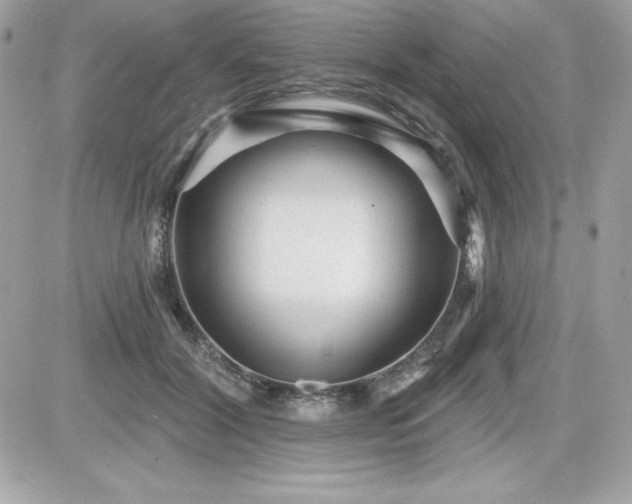 X0000081580604200701221030