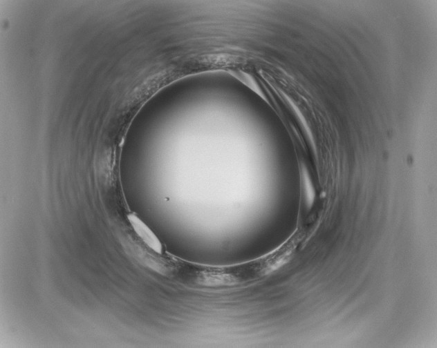 X0000081580605200701221030