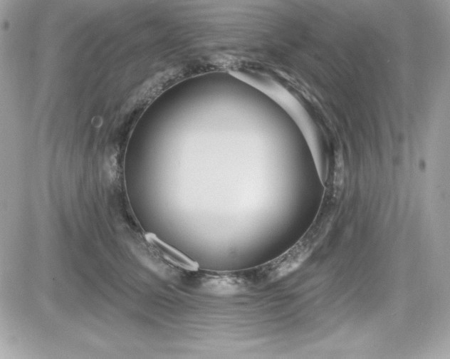 X0000081580611200701221030