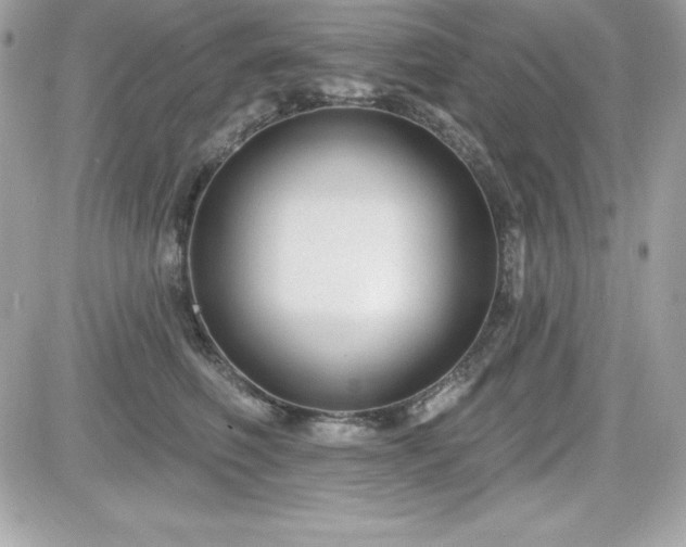 X0000081580614200701221029