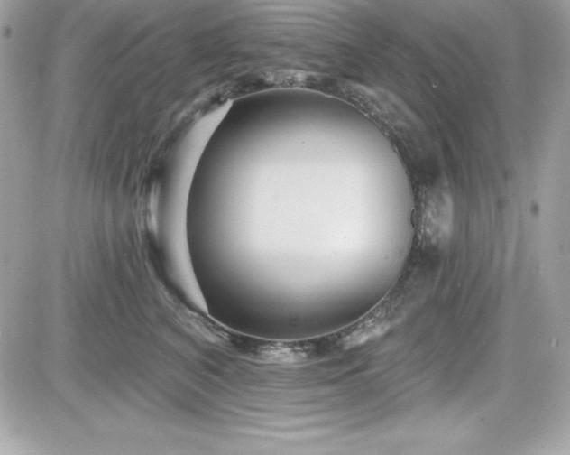 X0000081580616200701221029