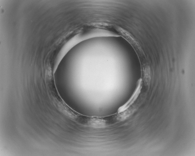 X0000081580617200701221029