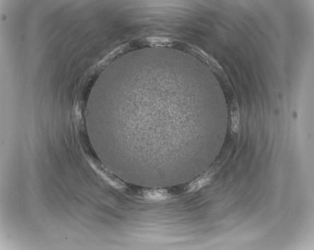 X0000081580618200701221029