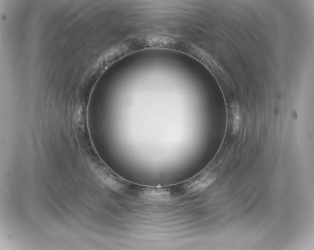 X0000081580619200701221029