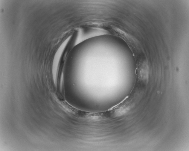 X0000081580620200701221029