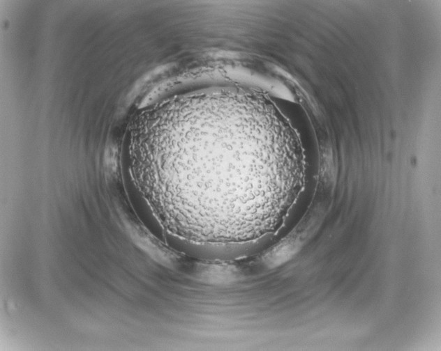 X0000081580621200701221029