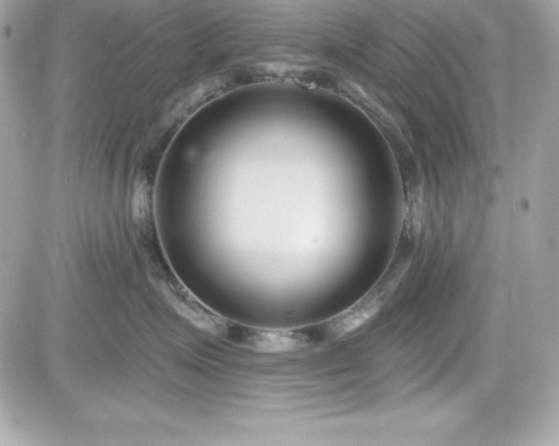 X0000081580623200701221029