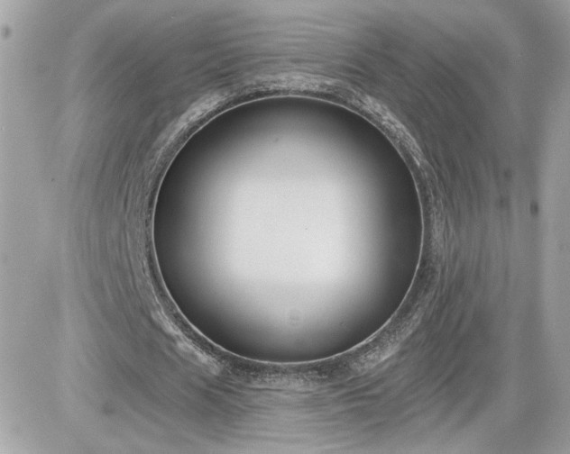 X0000081580625200701221029
