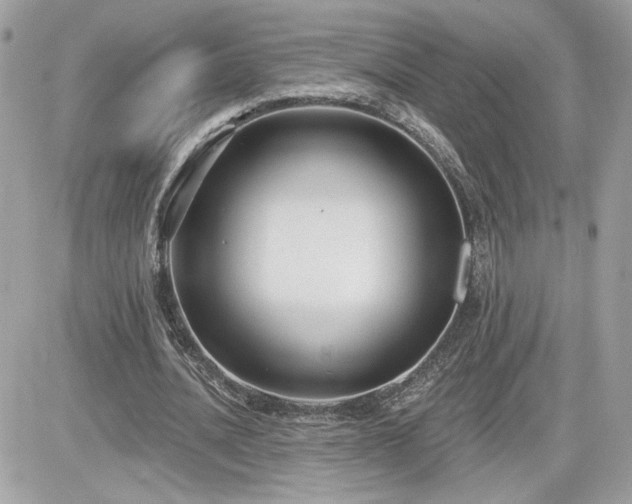 X0000081580628200701221029