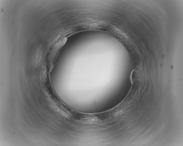 X0000081580642200701221029