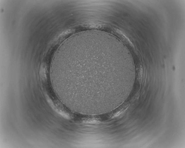 X0000081580643200701221029