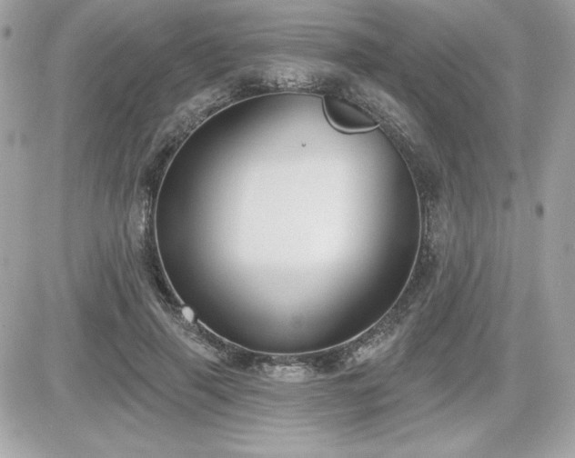 X0000081580645200701221029