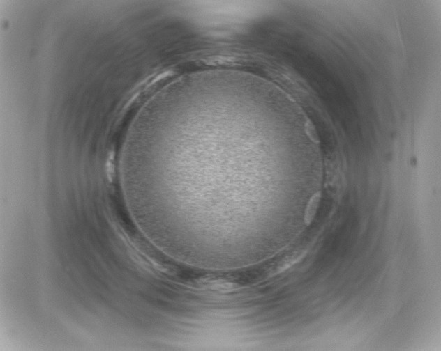X0000081580648200701221029