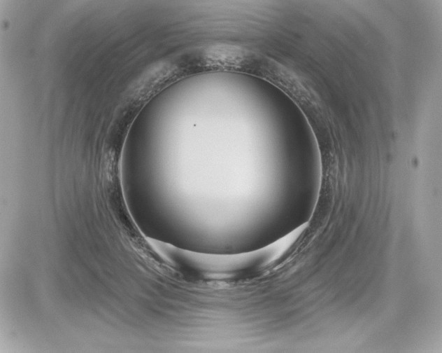 X0000081580649200701221029
