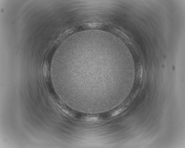 X0000081580651200701221029