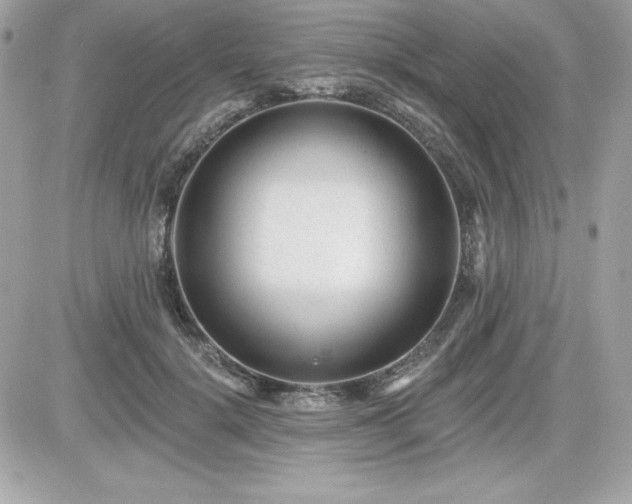X0000081580652200701221029