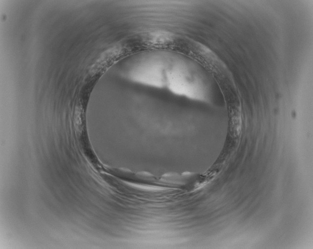 X0000081580654200701221029