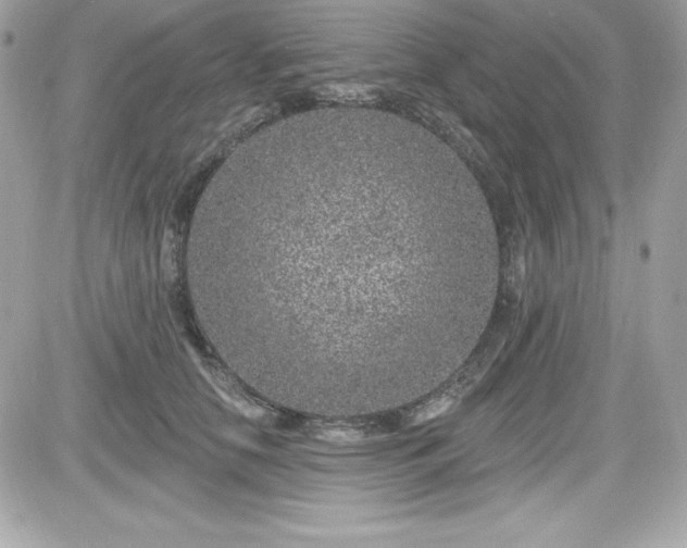 X0000081580658200701221029