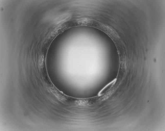 X0000081580660200701221029