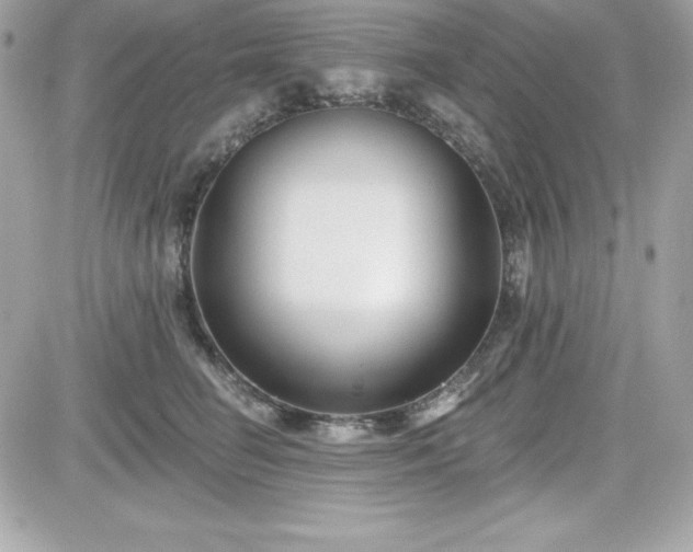 X0000081580662200701221029
