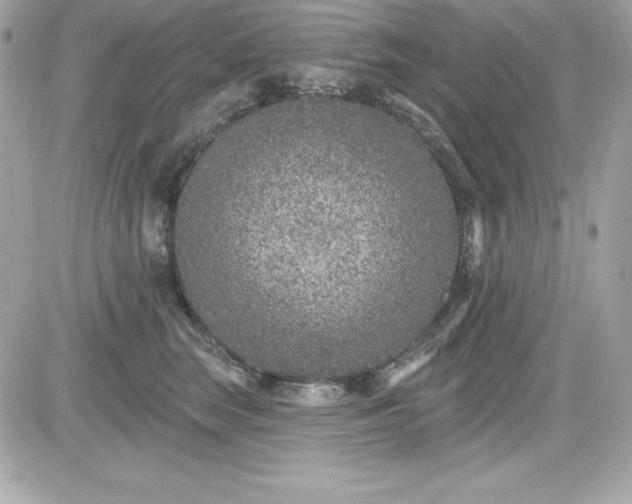 X0000081580663200701221029