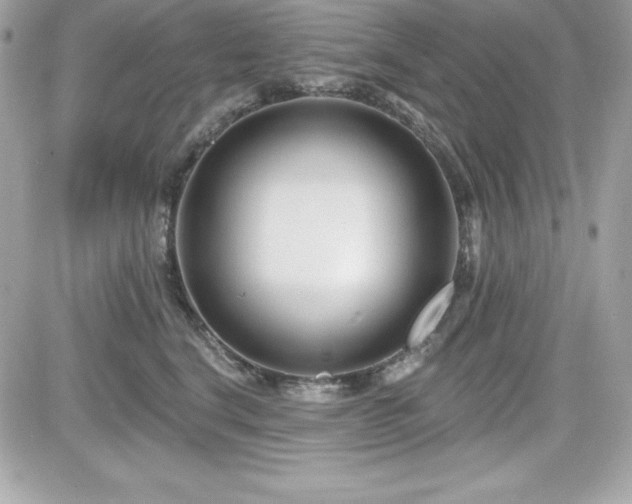 X0000081580664200701221029