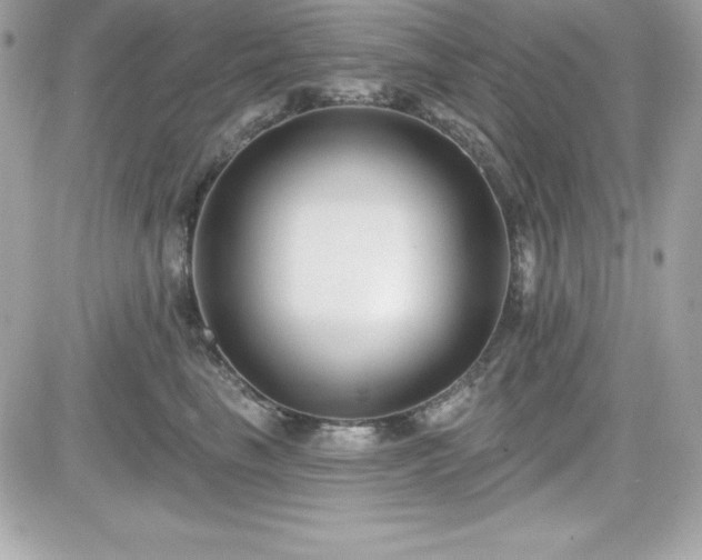 X0000081580665200701221029