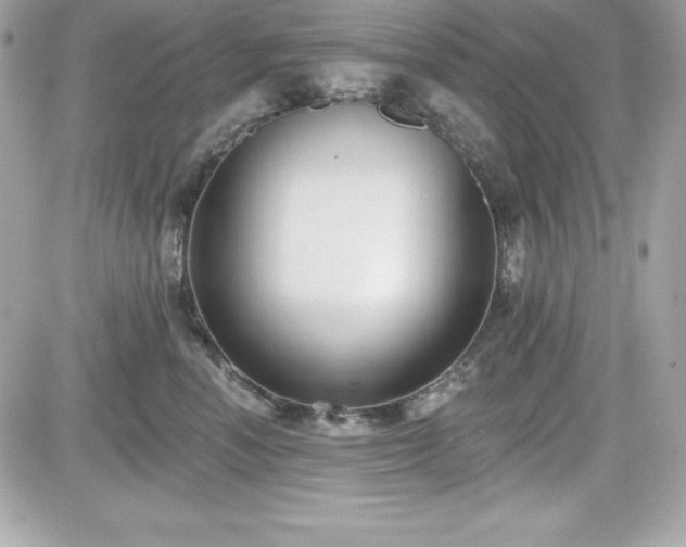 X0000081580666200701221029