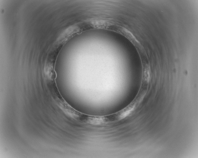 X0000081580671200701221029