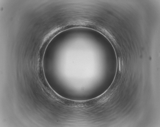 X0000081580675200701221029