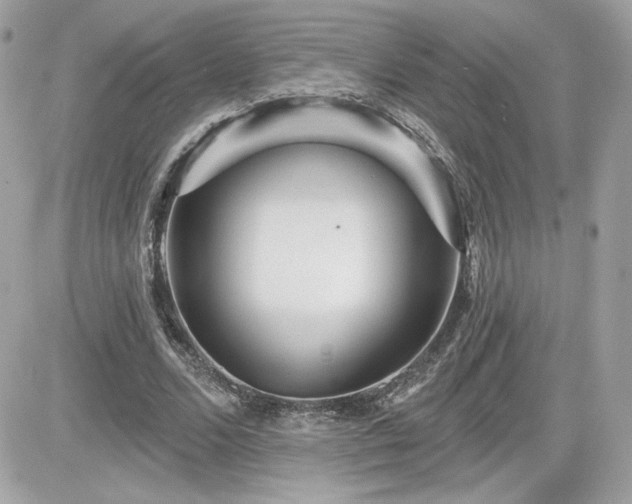 X0000081580680200701221028