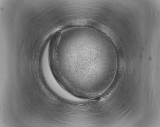 X0000081580681200701221028