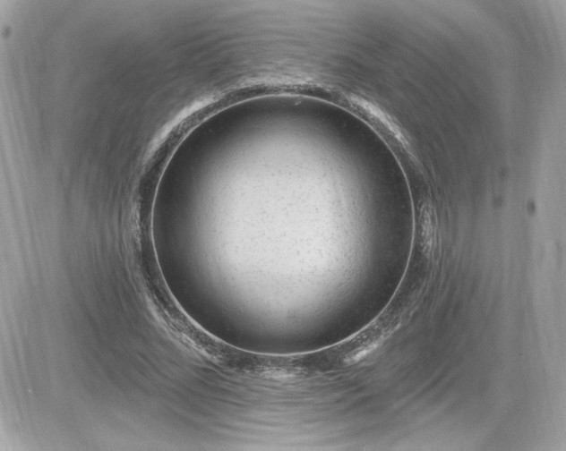 X0000081580684200701221028