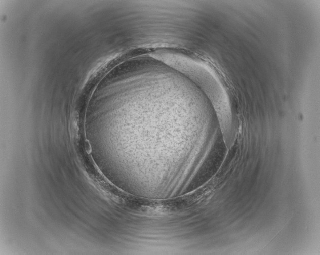 X0000081580688200701221028