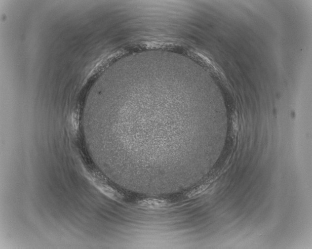 X0000081580691200701221028