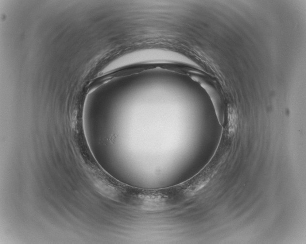 X0000081580693200701221028
