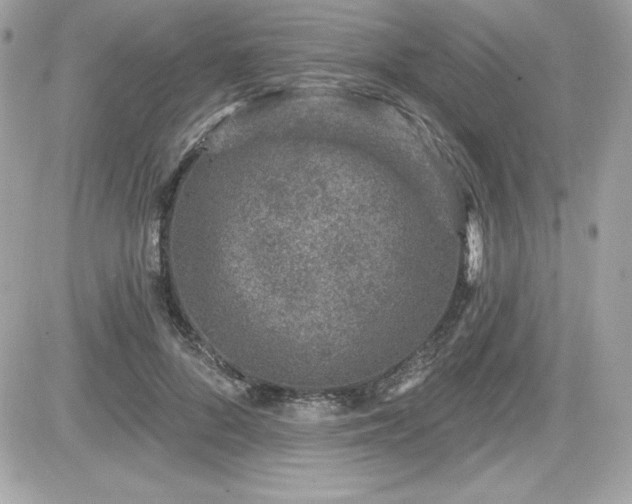 X0000081580696200701221028