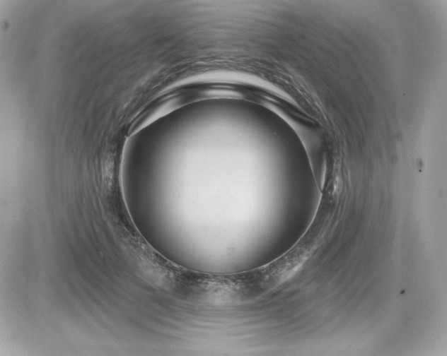 X0000081580697200701221028