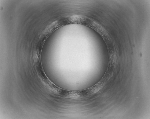 X0000081580702200701221028