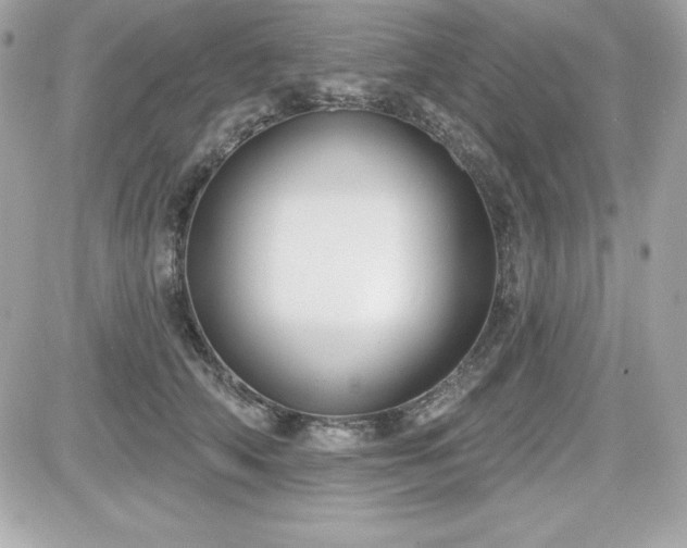X0000081580706200701221028