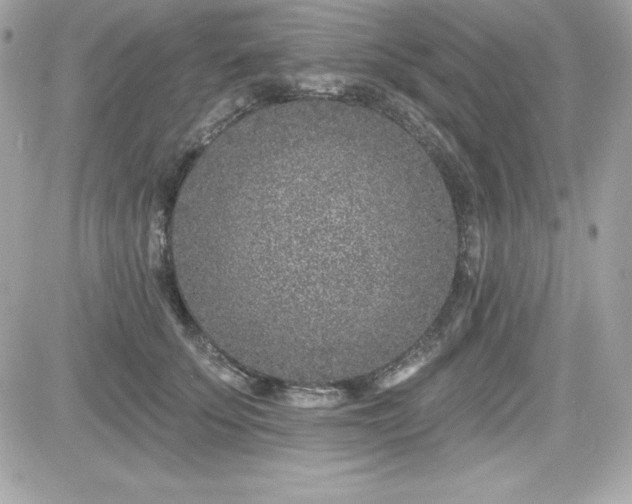 X0000081580707200701221028