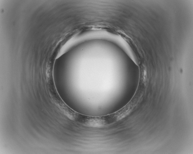 X0000081580708200701221028