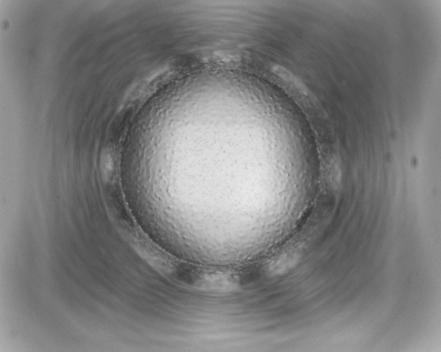 X0000081580709200701221028