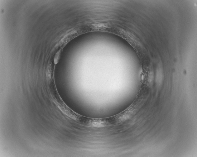 X0000081580710200701221028