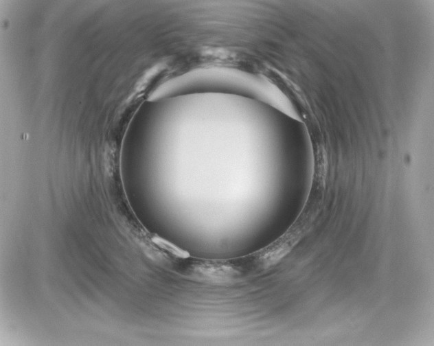 X0000081580712200701221028