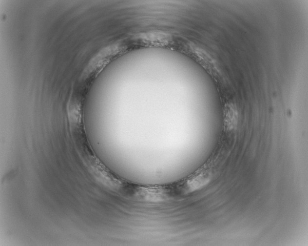X0000081580713200701221028
