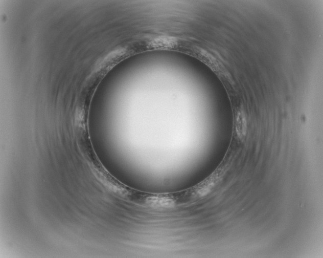 X0000081580714200701221028