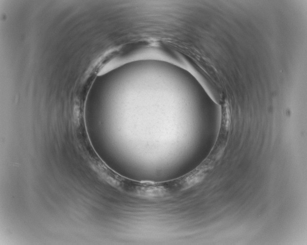 X0000081580716200701221028